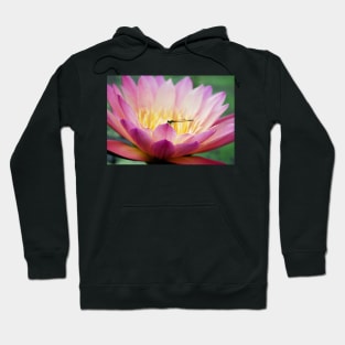 Meditation Wall Art Print - Water Lily and Dragonfly Meditation - canvas, Photo print, artboard print, poster Canvas Print Hoodie